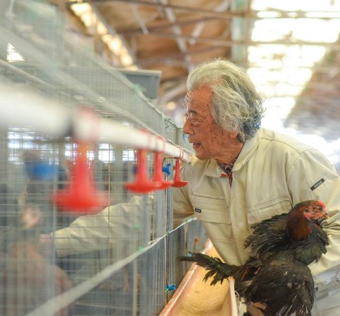 養鶏で自由に生きる