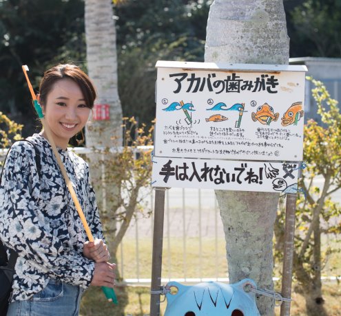 歯を磨かせてくれるアカハタ（アカバ）に思わず歓声！