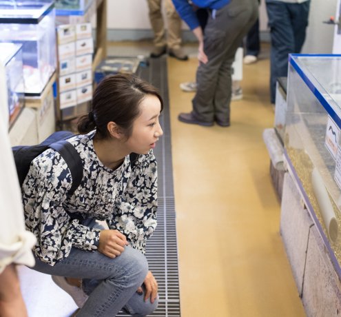 小笠原唯一の水族館に夢中になるひと時