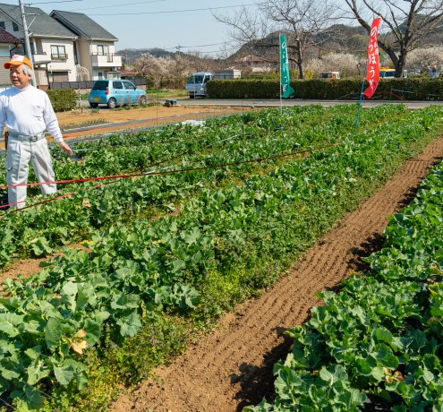 のらぼう部会の仲間とともに