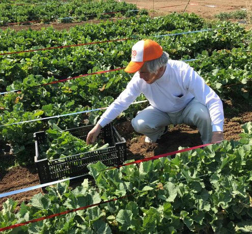のらぼう部会の仲間とともに