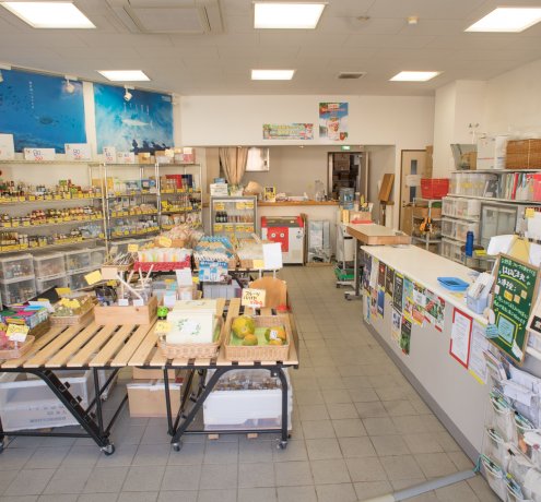 嫌いだった野菜も、島で採れたものなら食べられる！