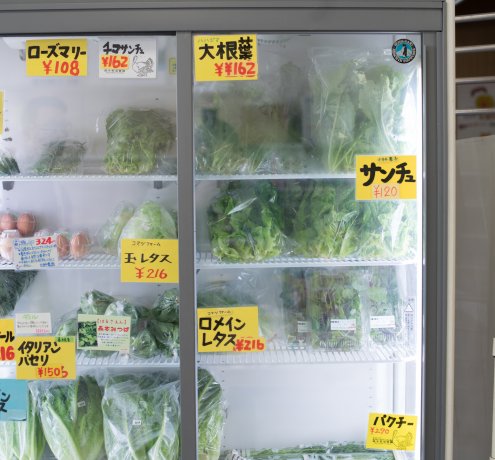 嫌いだった野菜も、島で採れたものなら食べられる！