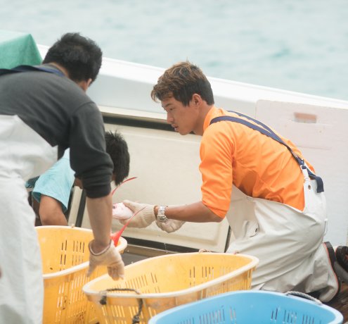 チームワークも雰囲気もいい小笠原の漁師たち