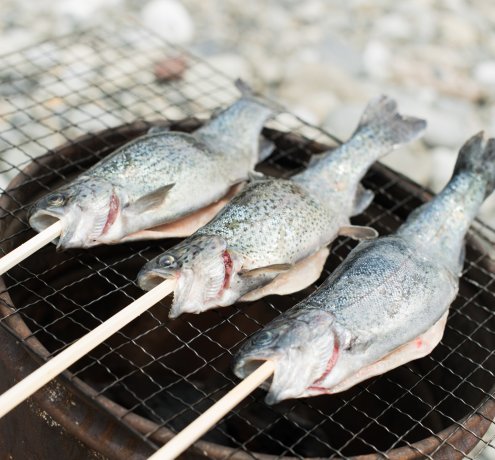 釣りたての魚をその場で食べれる