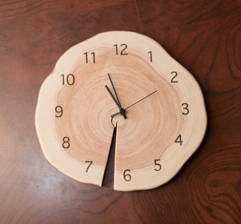 東京での林業、そして世界へ発信