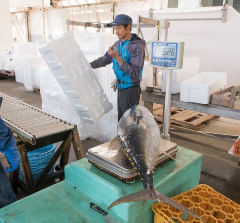 あっという間の箱詰め作業