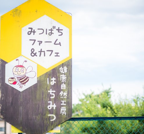 養蜂の世界は不思議がいっぱい