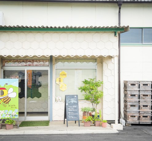 養蜂の世界は不思議がいっぱい