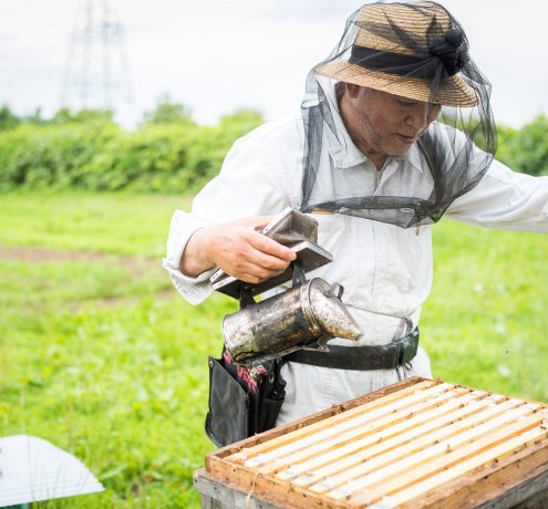 ミツバチの無限の可能性