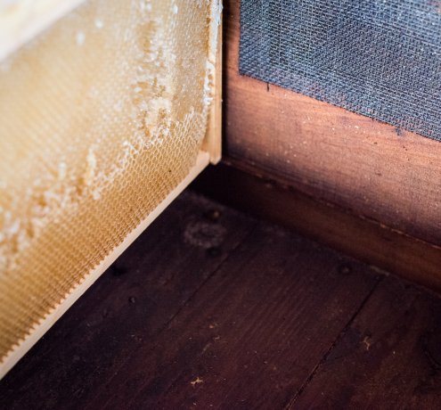 妥協せず、良いものをお客さんに届けたい