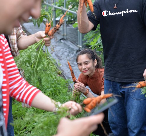 野菜の収穫にみんな夢中♪