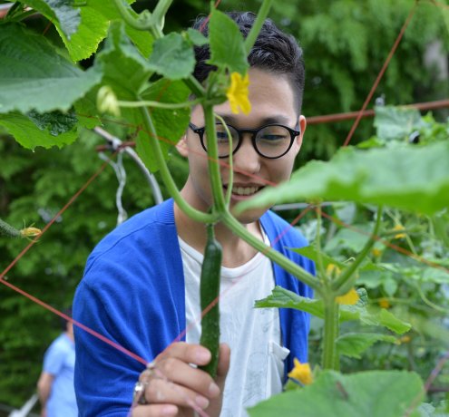 野菜の収穫にみんな夢中♪