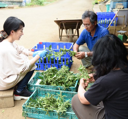 店頭に並ぶまでの知られざる苦労