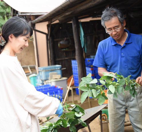 店頭に並ぶまでの知られざる苦労