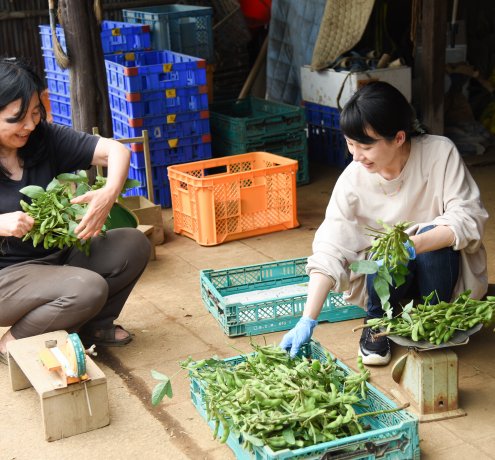 援農ボランティアの醍醐味