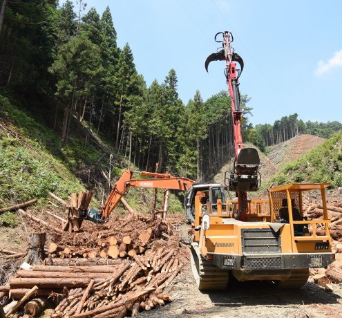 林業ってすごい！
