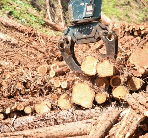 林業ってすごい！