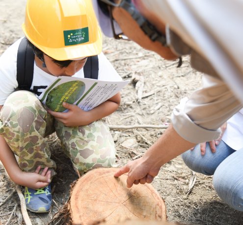 農業に通じる、林業の仕組み