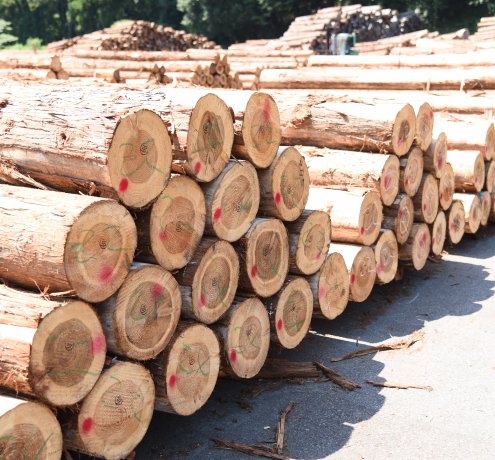 取材担当者から一言