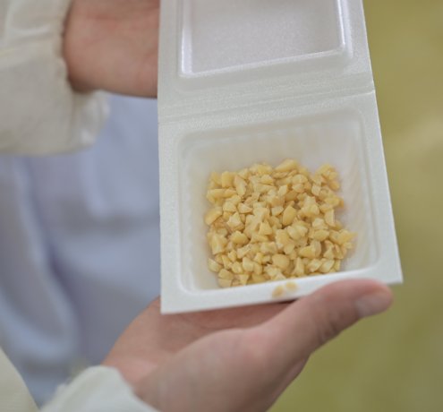 素材の良さを引き出す技