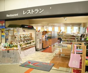 伊豆鸫