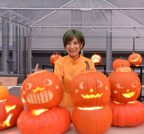 担当者から一言