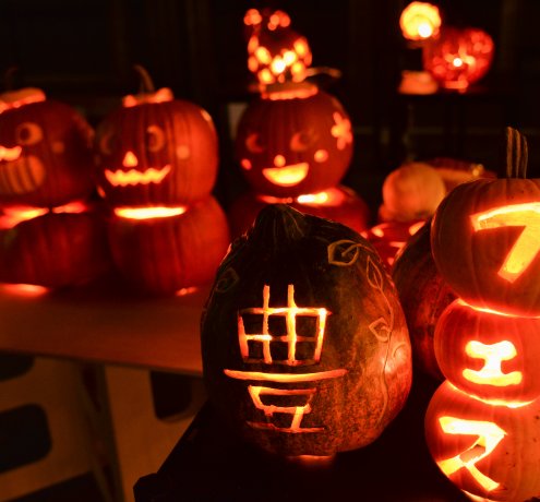 担当者から一言