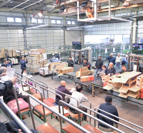 多摩生花地方卸売市場