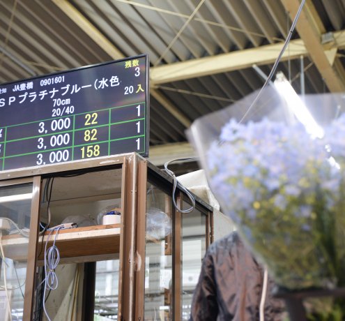 伝統を守る「手ぜり」