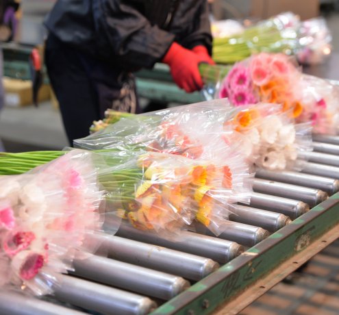 伝統を守る「手ぜり」