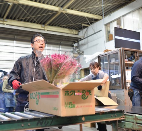 伝統が受け継がれる多摩生花地方卸売市場