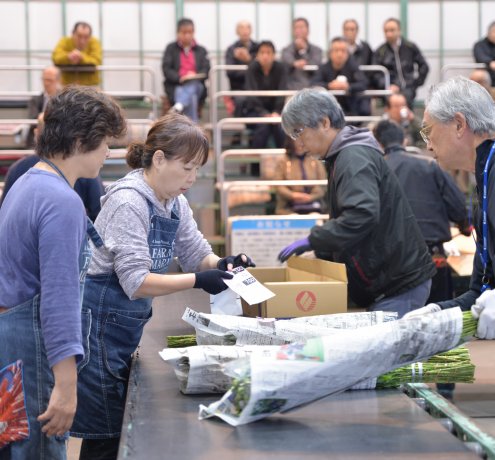 伝統が受け継がれる多摩生花地方卸売市場