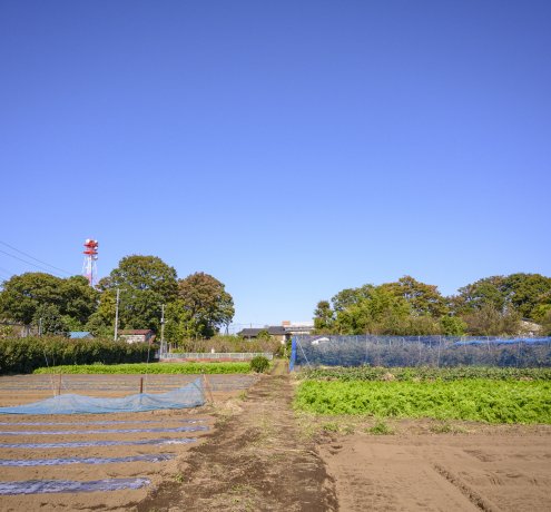 ぶどうから始めた果樹栽培