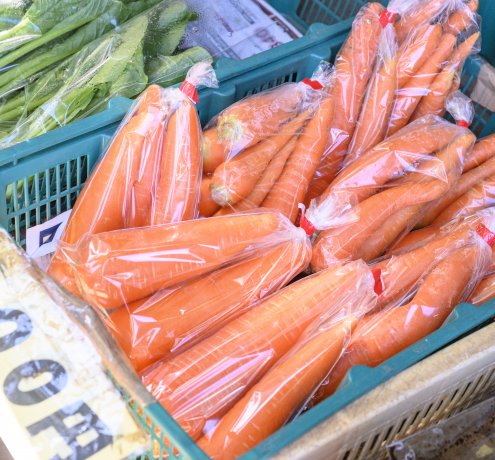 趣味は農大！？