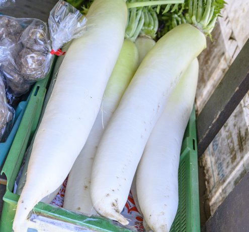 積極的な情報発信を