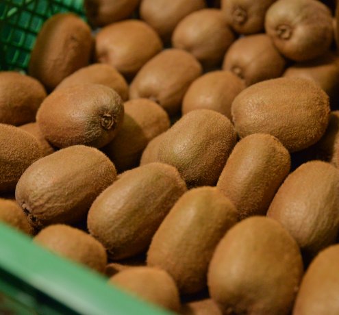 ひとつひとつの野菜にかける思い