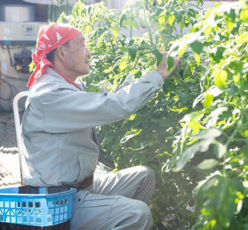 手間を惜しまず育てること