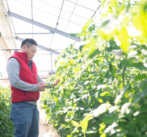 東京都GAPで作業が効率化して安全性もアップ