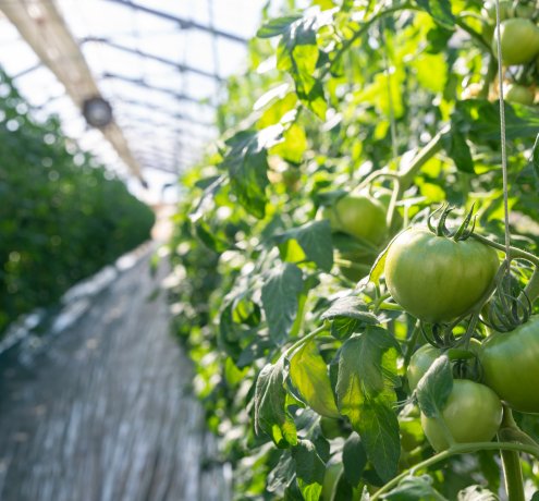 東京都GAPで作業が効率化して安全性もアップ