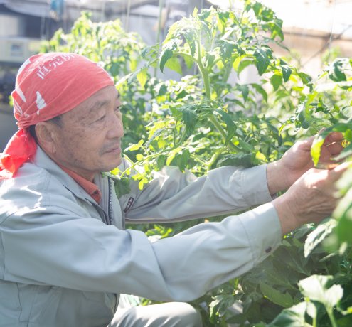 東京都GAPで作業が効率化して安全性もアップ