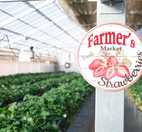 お客様のニーズに寄り添う