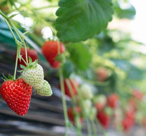 お客様のニーズに寄り添う