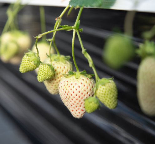 お客様のニーズに寄り添う