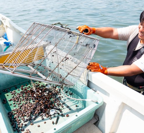 江戸前のシジミ