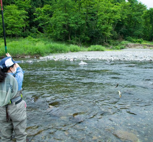 鮎釣りにチャレンジ！