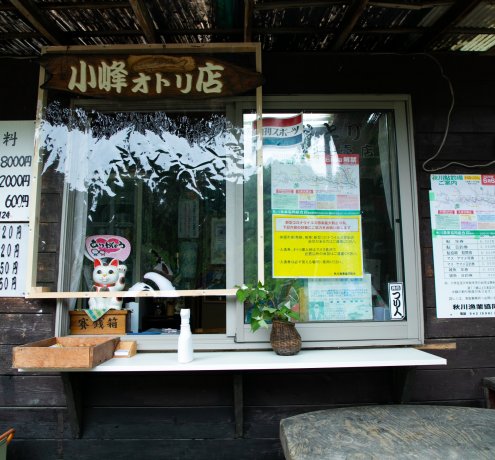 おとり鮎を掴んでみた