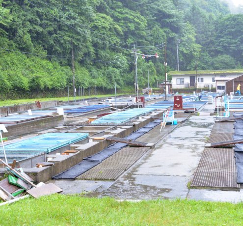 奥多摩さかな養殖センター