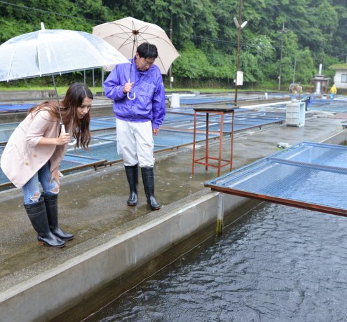 奥多摩さかな養殖センター
