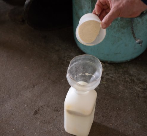 ミルクあげ体験